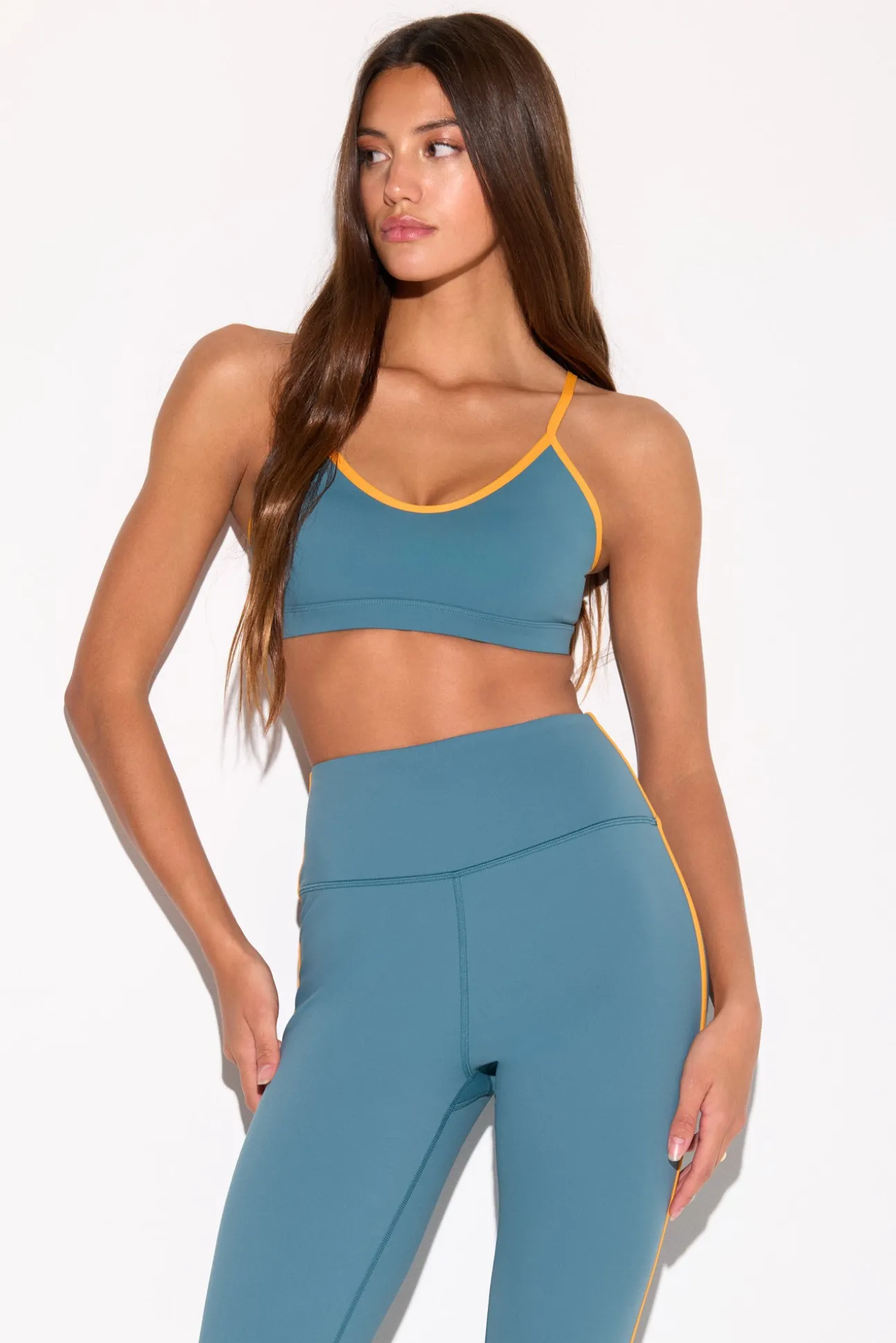 Horizon Bra