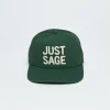 Just Sage Dad Hat