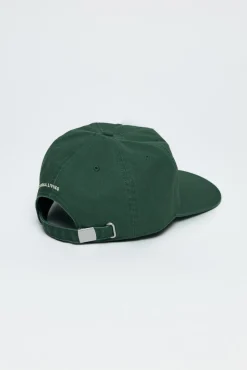 Just Sage Dad Hat