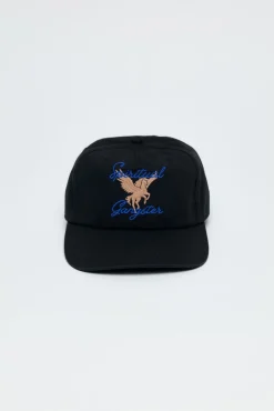 Pegasus Dad Hat